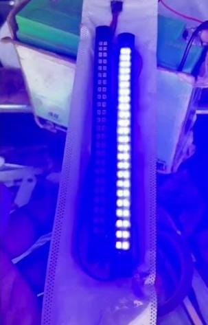 LED Red Blue Strobe Light Flasher Bar COB 5W LED Lights-Pack of 2