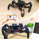 SpiderPi: Raspberry Pi based AI Vision Hexapod Robot