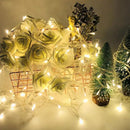 Pixel LED Warm White Colour LED (40Meter)