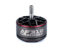 Axisflying Brushless Top Quality Fpv Motor AF310 3010 FPV Cinelifter Cinematic Drone 1010 KV