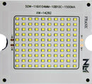 Flood light 50W Warm-White Color 116x104mm OD-1.5