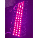 Pink Color 12V DC LED Module