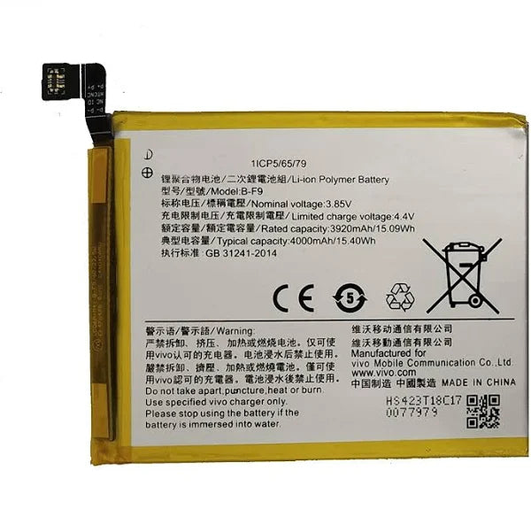 VIVO BT2 4000mAH Lithium Polymer battery