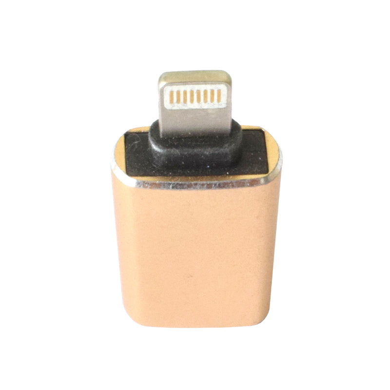 GL-163 iPad to USB OTG Connection Kit