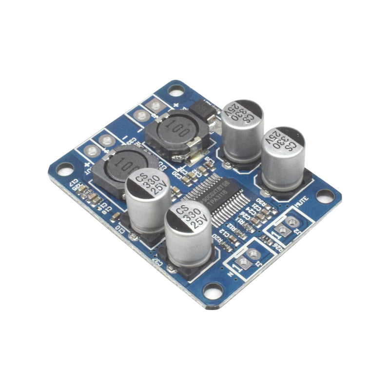 TPA3118 100 Watt Audio Amplifier Module