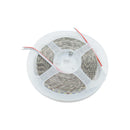 HiLight 12V 12W/m White 4mm 5 Meter LED Strip in 2835 Package