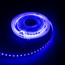 Blue LED Strip 2835 SMD 12V 5 meter (120LEDs/m)