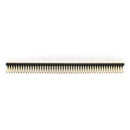 1.27mm 2x40 Pin Straight Male Double Row Brass Header Strip