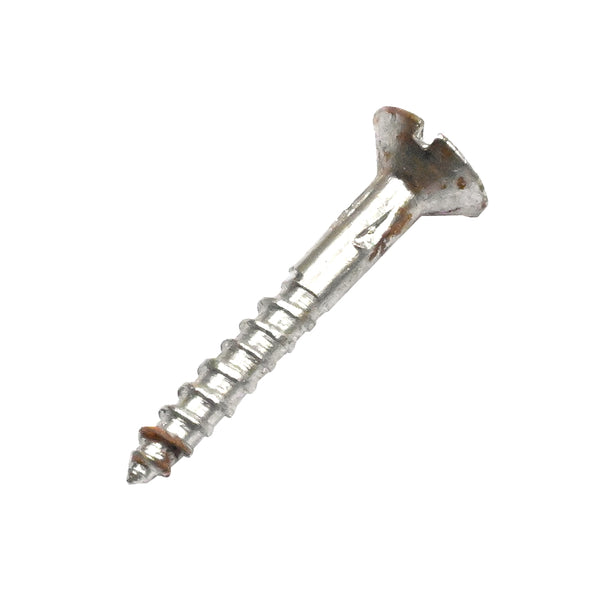 25mm Stainless Steel Wood Self Tapping Screw